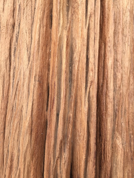 Dry wood texture background