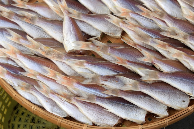 Drying fish 