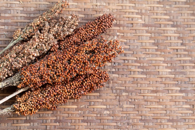 Drying millet twigs on bamboo table background dried process