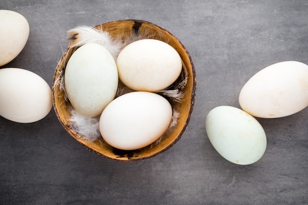 Duck eggs on a cage gray background.