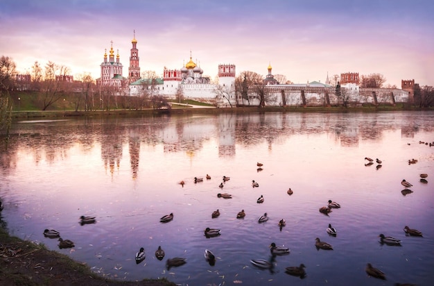 Ducks in the pond Novodevichy Convent Moscow