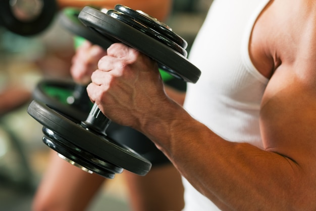 Dumbbell training in gym 