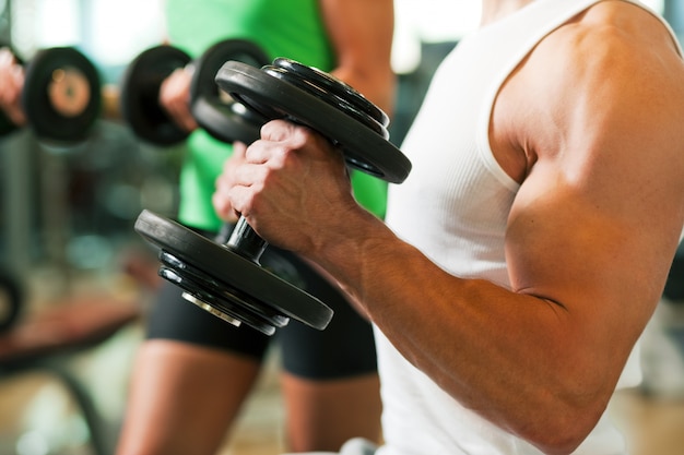 Dumbbell training in gym 