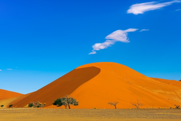 The dune 40 in Sossusvlei Namib Naukluft National Park Namibia