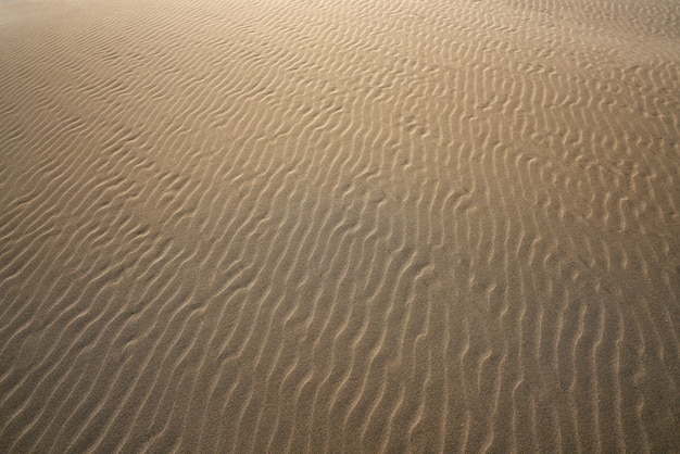 Dunes beach sand texture in Costa Dorada