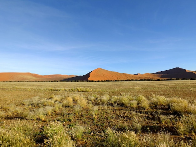 Dunes in Namib desert Sossusvlei Namibia