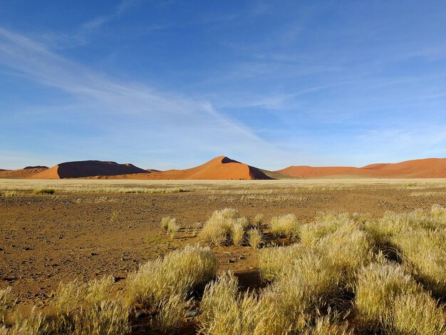 Dunes in Namib desert Sossusvlei Namibia