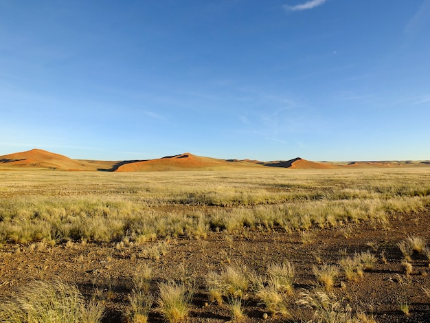 Dunes in Namib desert, Sossusvlei, Namibia