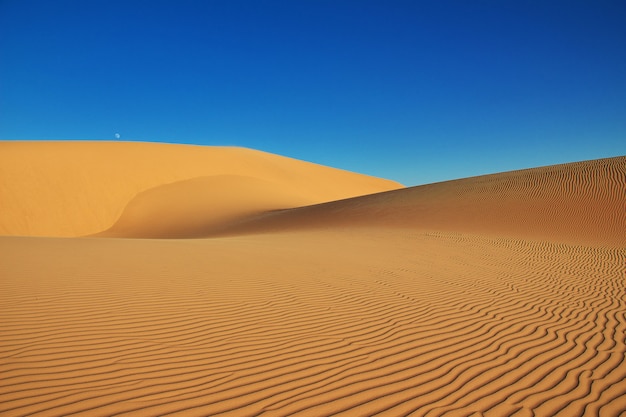 Dunes in the Sahara desert in the heart of Africa