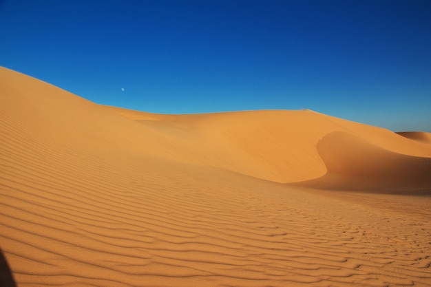 Dunes in the Sahara desert in the heart of Africa