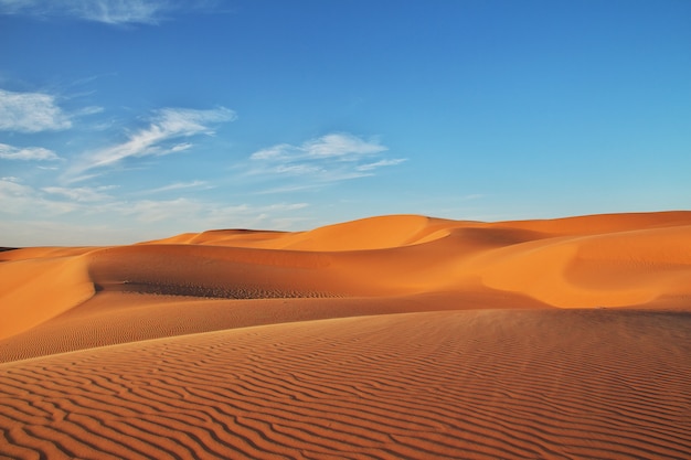 Dunes in the Sahara desert in the heart of Africa