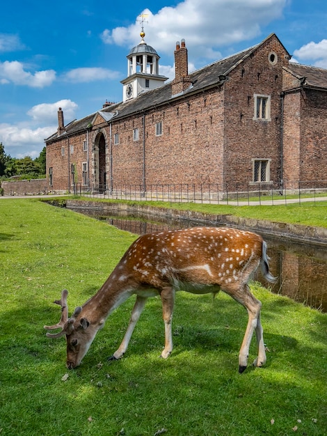 Dunham Massey Northwest England