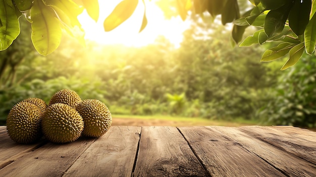 Durian fruits on wooden table with blurred green forest background