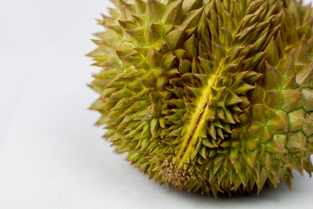 Durian is a fruit that has been referred to as the king of fruits of South East Asia. Durian on white surface.