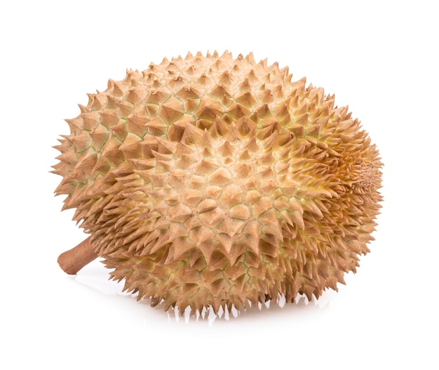 Durian king of fruit isolated on white background