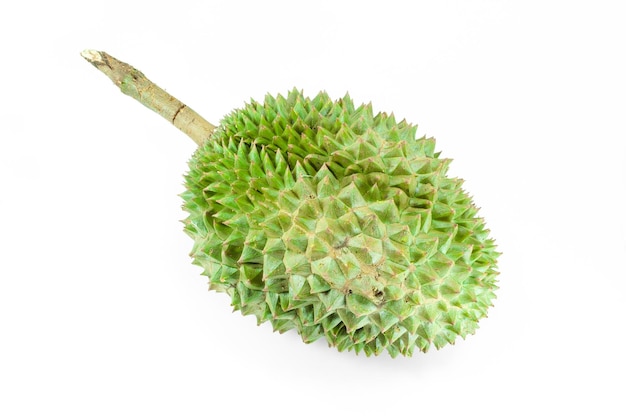 Durian the king of fruits on white background durian is a smelly fruits