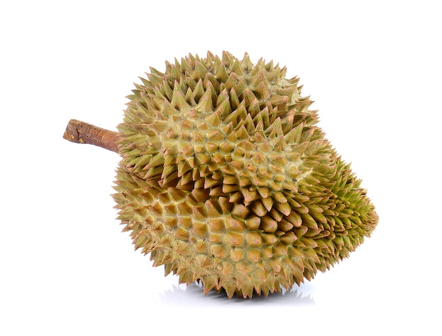 Durian, King of Fruits on white background.