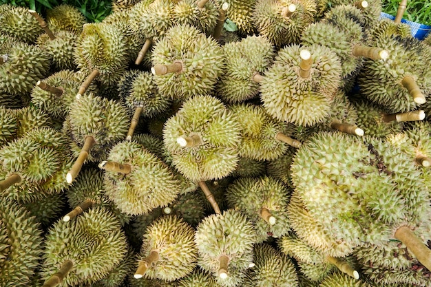 Durian pits that the gardeners cut down from the tree before being sorted and then sold.