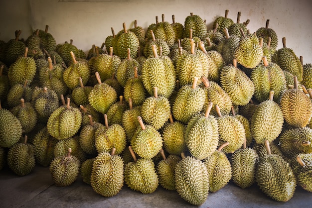 Durian tropical fruit for sale in the market on summer - Thai fruit export