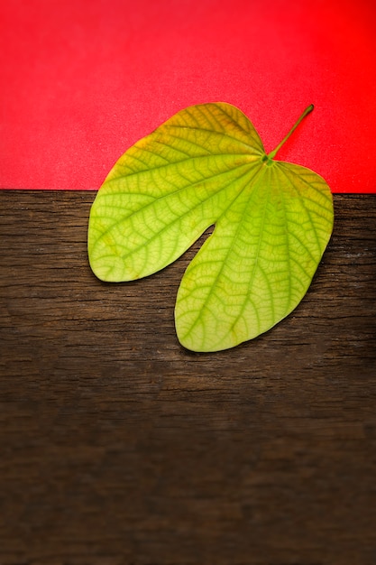 Dussehra greeting card using apta / Bauhinia racemosa