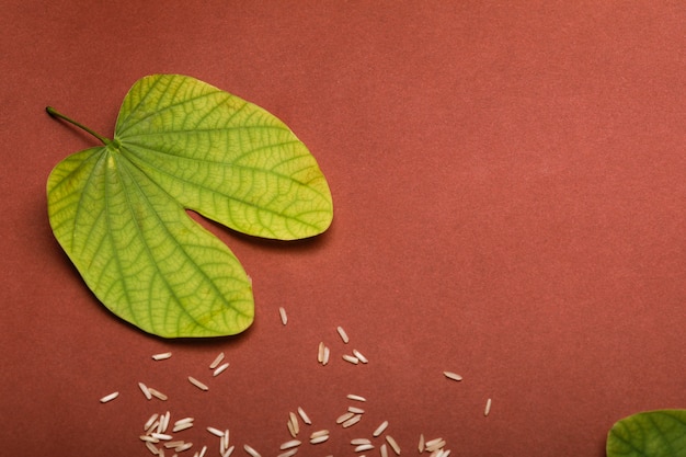 Dussehra greeting card using apta / Bauhinia racemosa