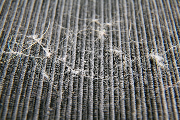 Dust and hair animal fur on the carpet closeup