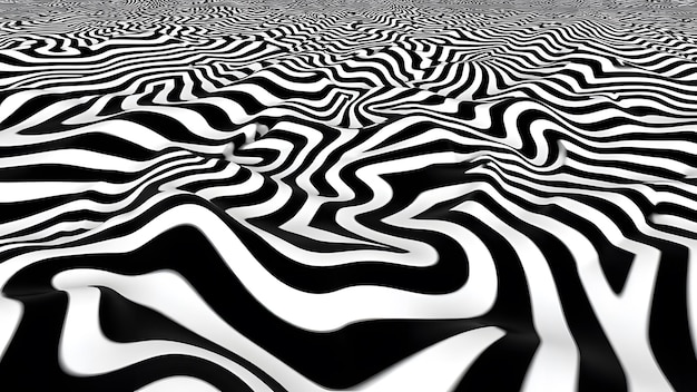 Photo dynamic zebrastyle optical art in black and white