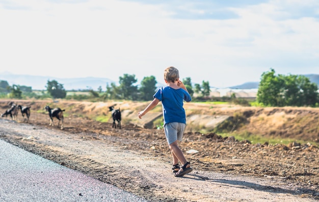 E little boy back view look far away want try catch goats move run Healthy simple active life style joy communicating with nature Happy childhood clean products consumption Pasture road field