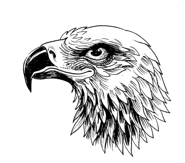 Eagle head. Ink black and white drawing