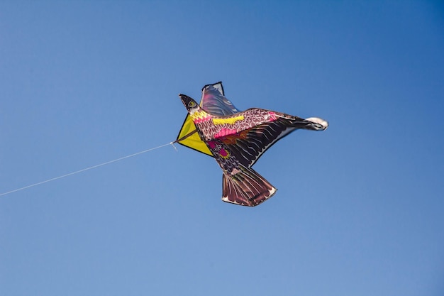 eagle kite in the sky
.An eagle kite glides against the wind in the sky.