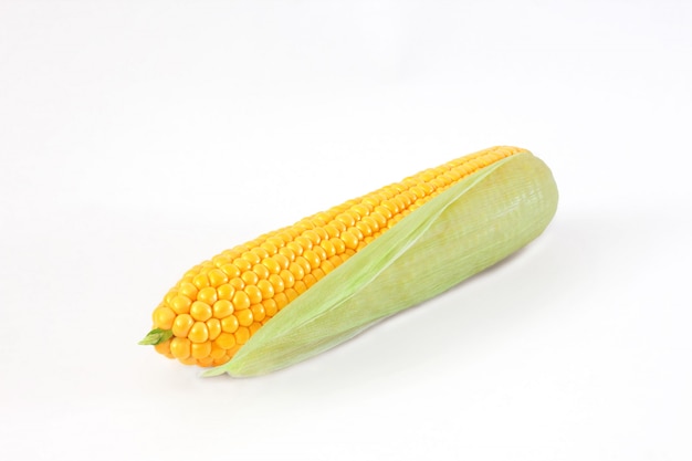 Ear of corn isolated on white background