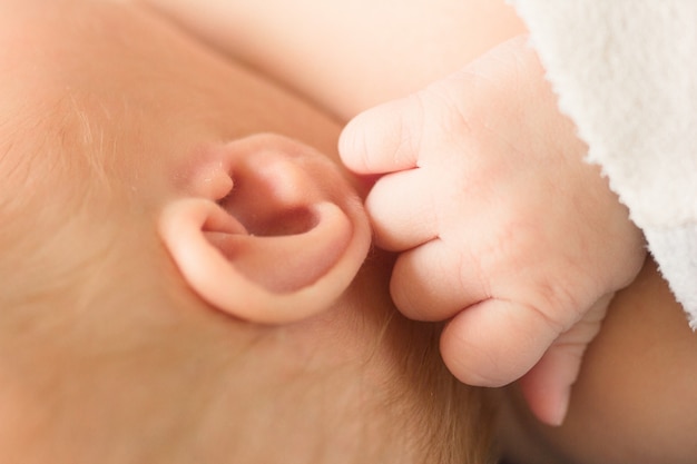 ear of a newborn baby, cute, body parts, macro shot, close-up. selective focus