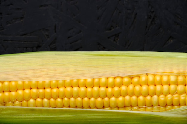 Ear raw ripe corn dark background closeup