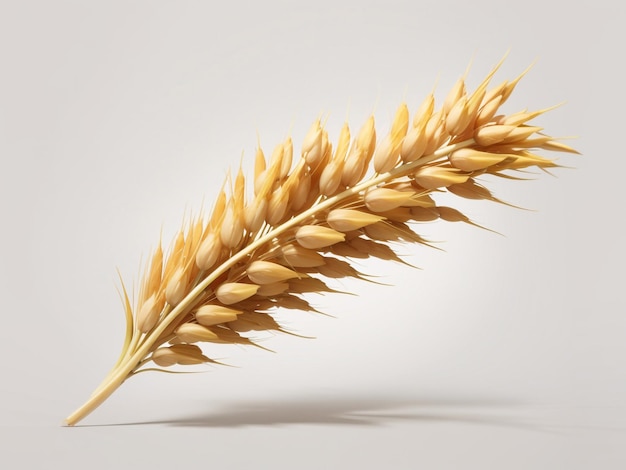 Ear of Wheat Spikelet Isolated on Transparent Background