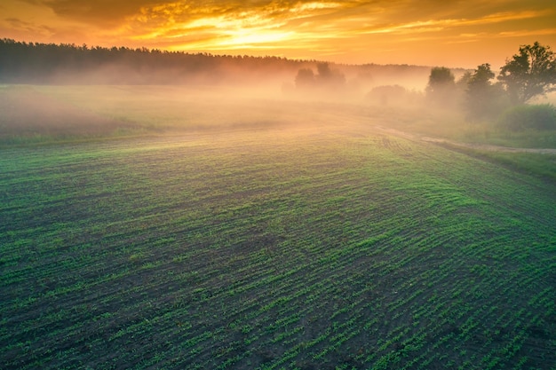 Early foggy morning Sunrise in the countryside Aerial view of the countryside in autumn