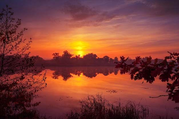 Early morning dawn over the lake Misty morning rural landscape wilderness mystical feeling