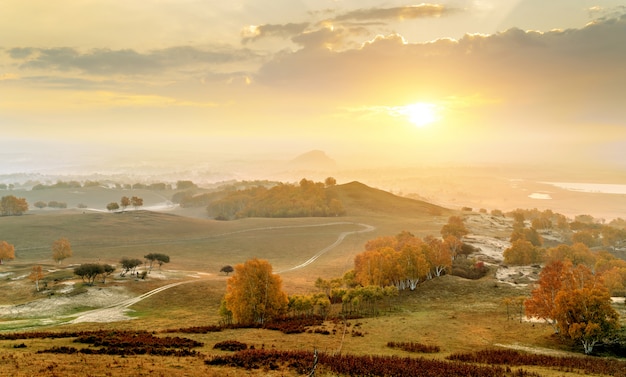 Early morning grassland and mountains