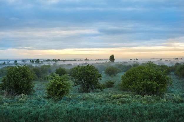 Early morning landscape in the field Yellow sunrise with fog in summer