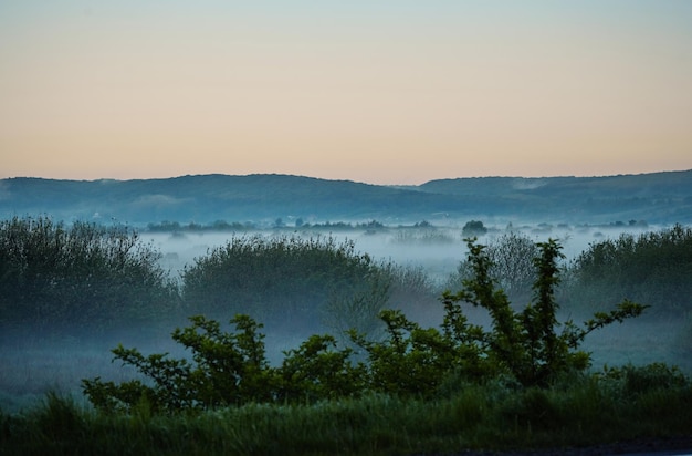 Early morning landscape in the field Yellow sunrise with fog in summer