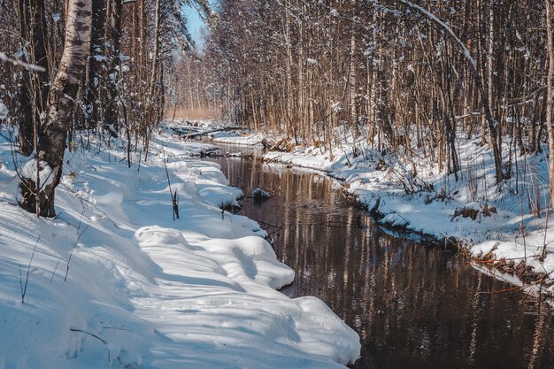 Early spring forest along the small river.  The creek winds its way in the forest landscape. Snow-covered trees. Nature study trail in Paaskula (PÃ¤Ã¤skÃ¼la) bog. Estonia. Baltic.