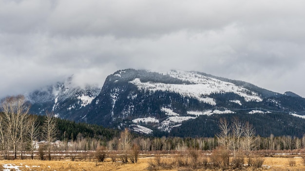 Early spring landscape in a field overcast day with mountains in a distance