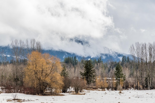 Early spring landscape in a field overcast day with mountains in a distance