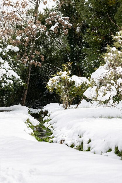 Early spring landscape in the forest a stream flows between the green snowcovered grass after a snowfall selective focus