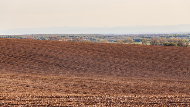 Early spring plowed field ready for new crops Farm agricultural landscape Copy space background