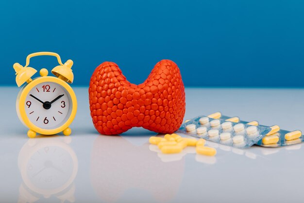 Early thyroid treatment picture concept red gland and alarm clock with medicines closeup