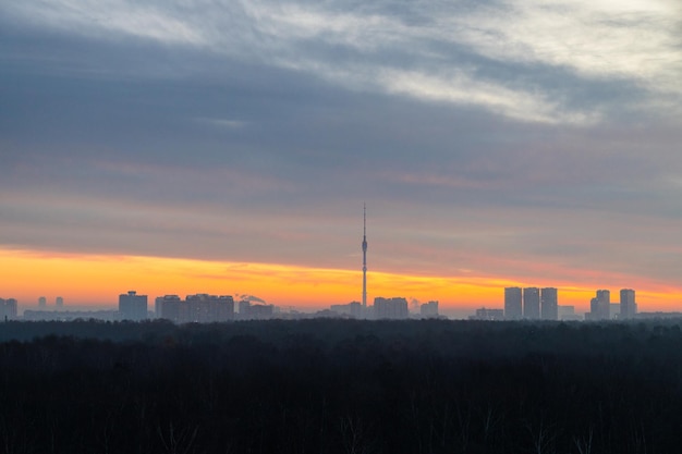 Early winter dawn over forest and city on horizon