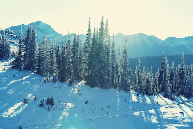 Early winter in Glacier National Park, Montana, USA