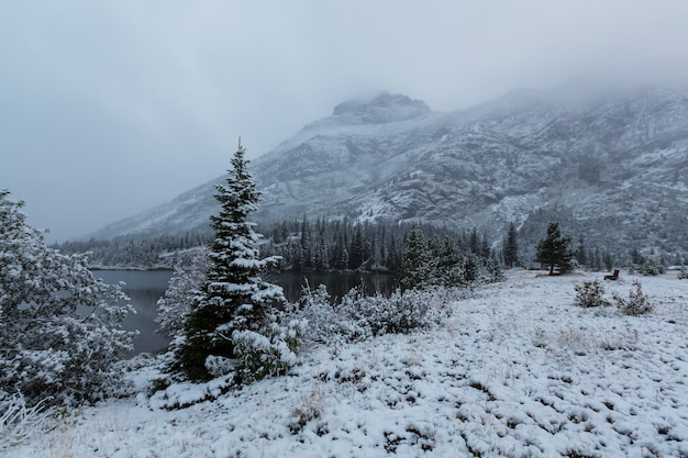 Early winter with first snow covering rocks and woods in the Glacier National Park, Montana, USA