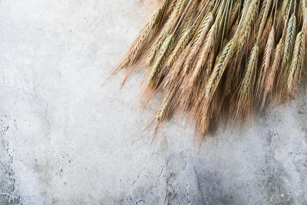 Ears of ripe wheat on grey stone or concrete table background The problem of wheat transportation and world food crisis concept Top view Mock up