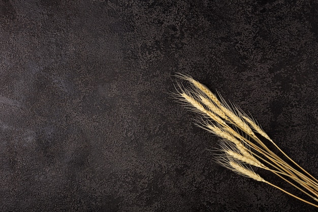 Ears of wheat on black background texture. Copyspace. top view